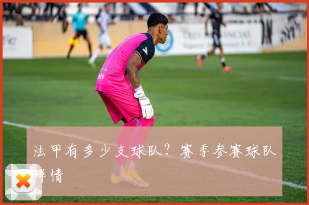 法甲有多少支球队？赛季参赛球队详情