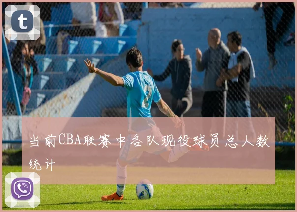 当前CBA联赛中各队现役球员总人数统计