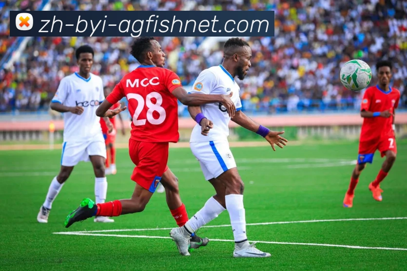 AG捕鱼王官网发展历程